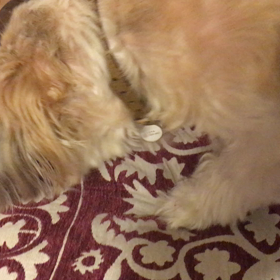 秘密基地で作業中の画像