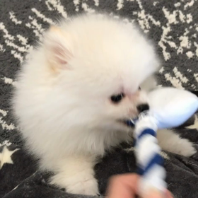 予防接種の画像