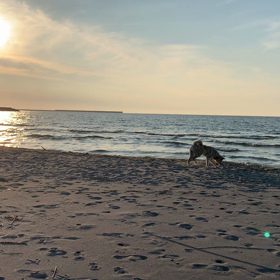海で散歩の画像