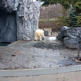 ヤーレンソーラン北海道❗⑦の画像