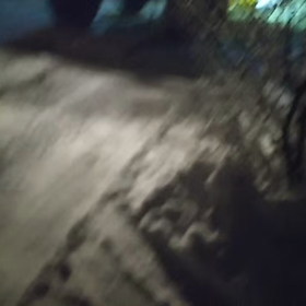 2018/12/30　今シーズン二度目・・・の画像