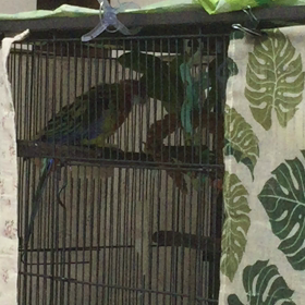 シャグシャグと  その1の画像