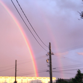 雨上がりの、、、の画像