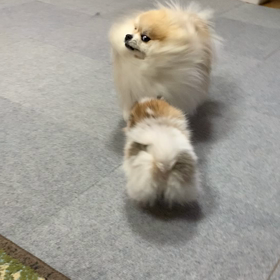 あっという間に２月終わり～。の画像