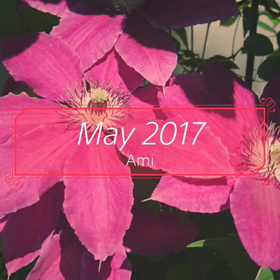 今年の我が家の花たちの画像