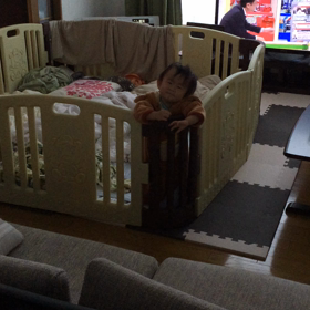 14〜15か月の近況23の画像