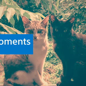 夏空から夕日の画像