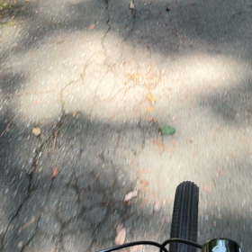 今日の有酸素運動は自転車の画像