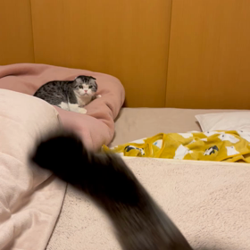 2024年1月19日(金)の画像