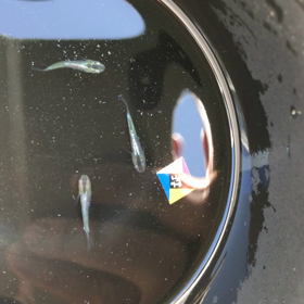 別の桶のヤツ！の画像