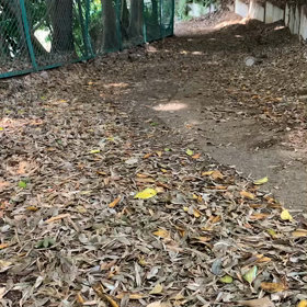 継続は力なりの画像