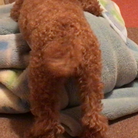 お金があっても？の画像