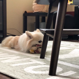 ダイの誕生日の画像