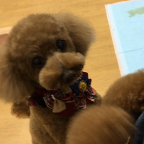 要求すら可愛い❤️の画像