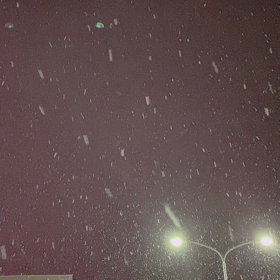 Dancing Snowの画像