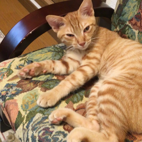 おはようの画像