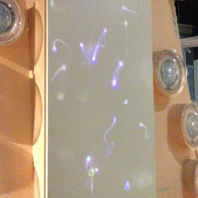 北京続編の画像