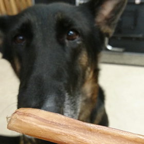 カグラ店長の～の画像