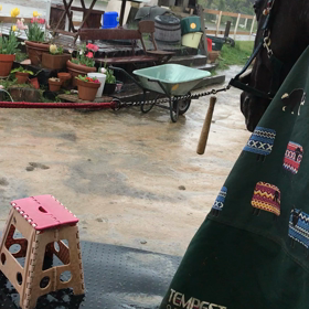 ひたすら雨です。の画像