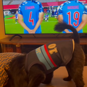 2021年7月22日　東京オリンピックの画像