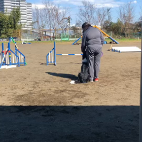 おーちゃん頑張りました！の画像