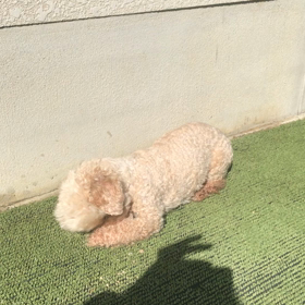 ３連休終わりましたねの画像