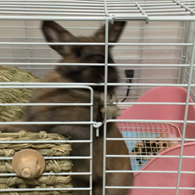 初めての年越しの画像