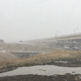 春なのに、の画像