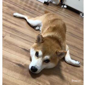 お手手どこー？の画像