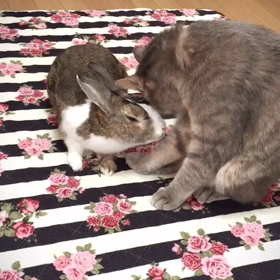 待つの…♡の画像