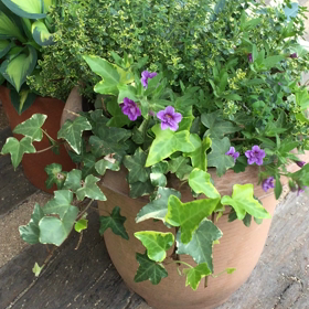 変な趣味かなの画像