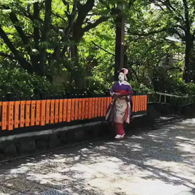 迫る舞妓夏子の画像