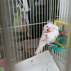 浴びすぎ〜の画像