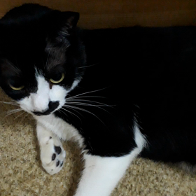 初日終了の画像