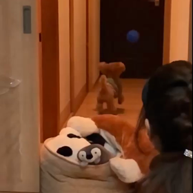 スローでの画像