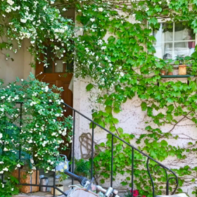 マイガーデン♡ムービーの画像