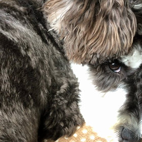 雷こわかったの画像