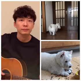 うちで踊ろうの画像