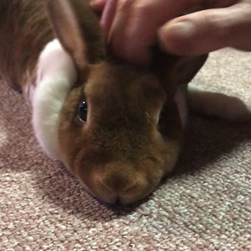 ジェイとマッタリTimeの画像