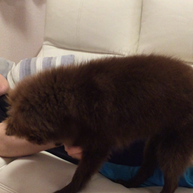 もっとかいての画像