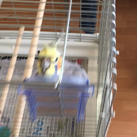 「ただいまー」「おかえりー」の画像