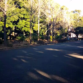 越谷春季記録会リレー選考会(男子)⑧の画像