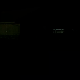 闇に響く足音（コアラ）の画像