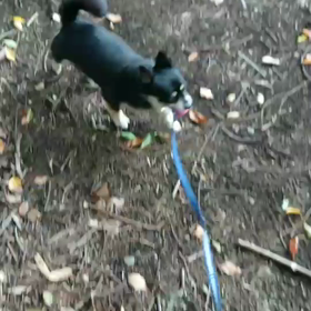 繊細ボーイの画像