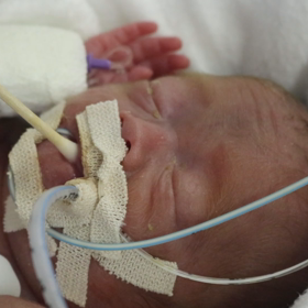 1m4d 生後１ヶ月の画像