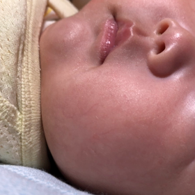 生後3ヶ月ฅの画像