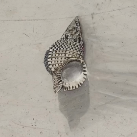 Vivo剪輯功能の画像