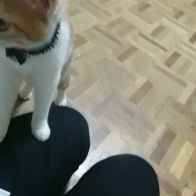 今日は、何の日？の画像