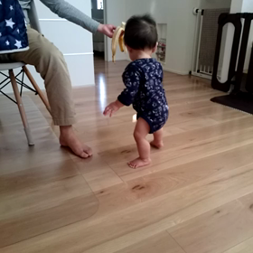 ５歩も歩いたの画像