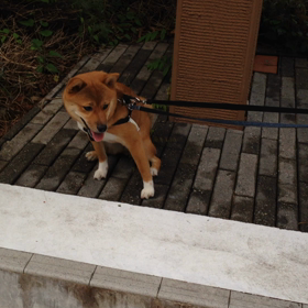 2015年8月15日の画像